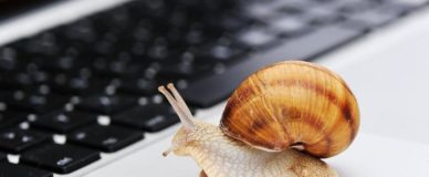 Улитка и клавиатура